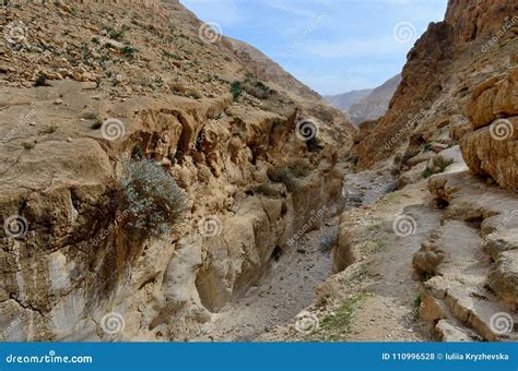 Wadi Murabba`at Canyon Nahal Darga Judean Desert Israel Royalty Free