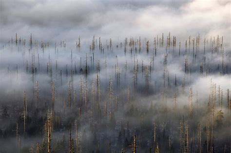 Cloud Forest Landscape Photos Of The Misty Czech Bohemian
