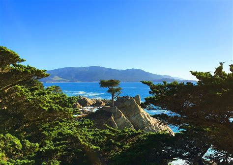 Pacific Coast Highway 1 Road Trip Itinerary Addie Dwyer