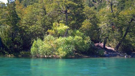 Green Water Chile Landscapes Nature Forests Rivers Turquoise Futaleufu
