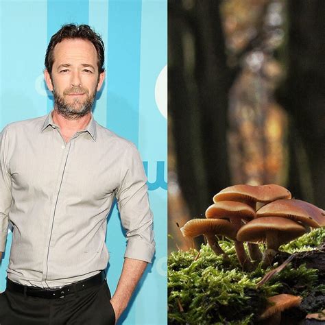 Luke Perry Was Buried In A Biodegradable Mushroom Suitwhat Is That
