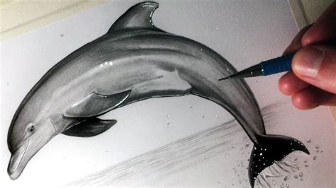 How To Draw A Dolphin Dolphin Drawing Dolphin Painting Dolphin Art