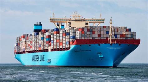 Ever Wonder About The Types Of Sea Transport Used In Ocean Freight