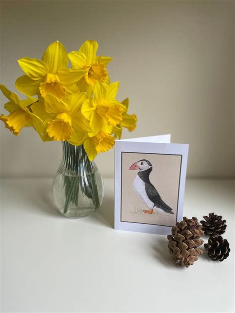 Puffin Greetings Card Blank Wildlife Card For All Occasions Etsy Uk