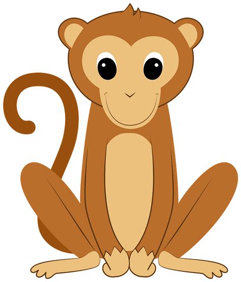 Cold Clipart Monkey Transparent Background Cute Monkey Monkey Clipart