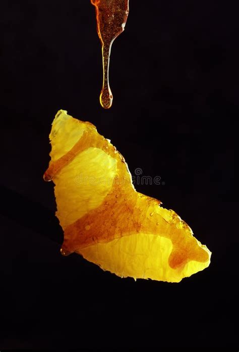 Caramelized Orange Slices Stuffed Into A Wooden Toothpick For Appetizer