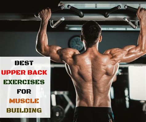 15 Best Upper Back Exercises For Muscle Building Buildingbeast