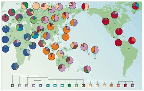 Global Distribution Of Y Haplogroups Each Circle Represents A Download Scientific Diagram