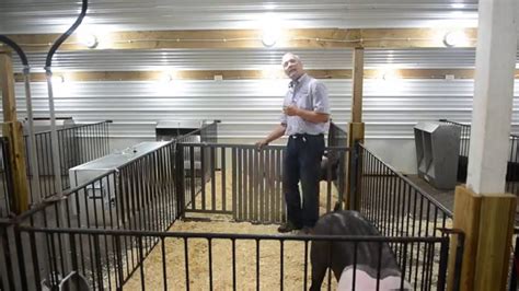 Pig Pen Dividers - YouTube