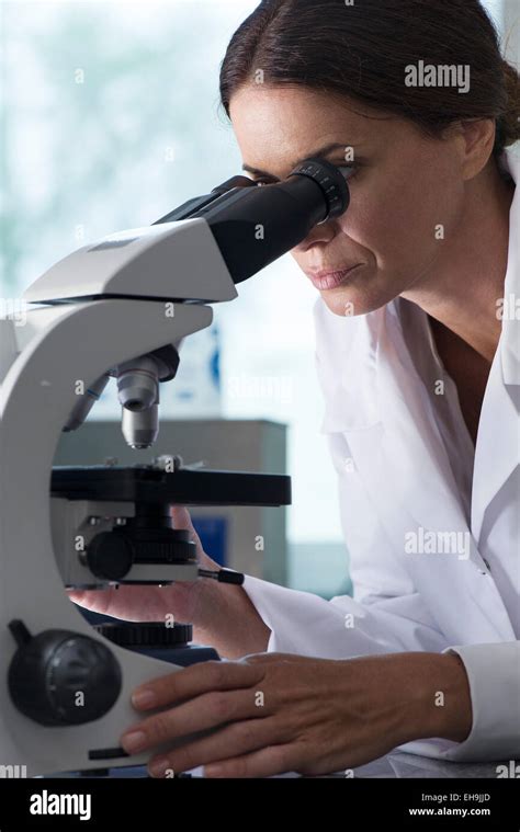 Scientist Using Microscope In Laboratory Stock Photo Alamy