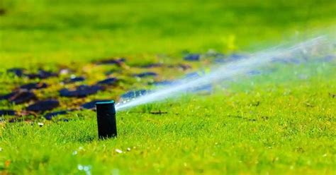 How To Replace A Sprinkler Head Smart Earth Sprinklers Austin