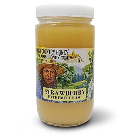 Goshen Honey Amish Extremely Raw STRAWBERRY Blossom Honey 100 Natural