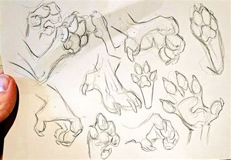 Werewolf Paw Anthro Hands Werewolf Paw Anthro Hands Art Reference