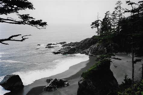 Your Guide To Trekking The Epic West Coast Trail On Vancouver Island