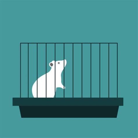 1400 Lab Mouse Illustrations Royalty Free Vector Graphics And Clip Art