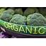 Sales Growth Of Organic Foods Slips To 64% In 2017  2018 05 21 Food