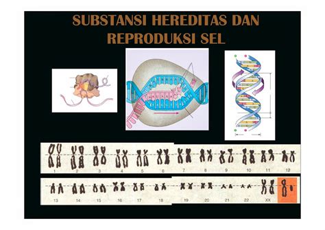 SUBSTANSI GENETIK PRESENTATION | Materi dan Soal Biologi