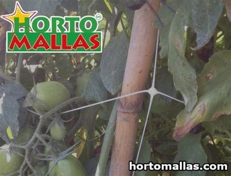 Tomato Trellis Hortomallas™ Supporting Your Crops®