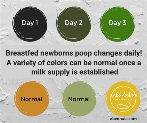 Breastfeeding Babys Poopa Colorful Palette — Abc Doula And Newborn