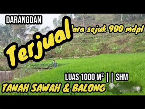 Review TANAH SAWAH AKSES MOBIL UDARA DINGIN SEJUK 900 MDPL DARANGDAN PURWAKARTA YouTube