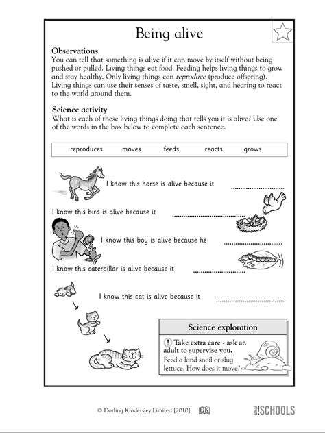 Teach Child How To Read Free Science Worksheets 1st Grade