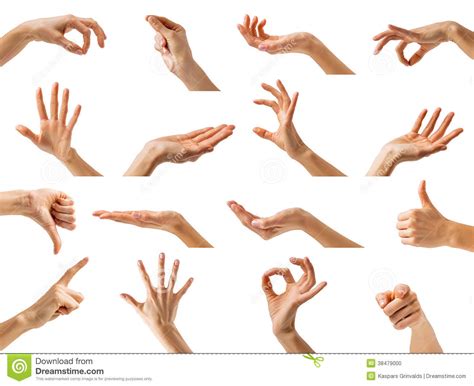 Mãos Das Mulheres Que Mostram Gestos Diferentes Foto De Stock Imagem De Mulher Variedade