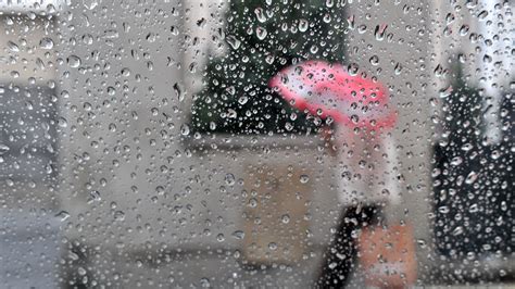 Encuentra los mejores vídeos de lluvia. Tormentas y lluvias. Medidas preventivas para evitar ...