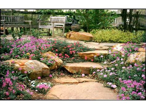 Texas Smartscape Image Gallery Texas Landscaping Drought Resistant