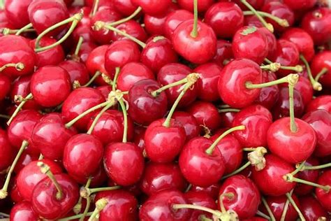 चेरी खाने के 10 फायदे जानकर हेरान हो जाओगे आप Amazing Benefits Of Eating Cherries In Hindi