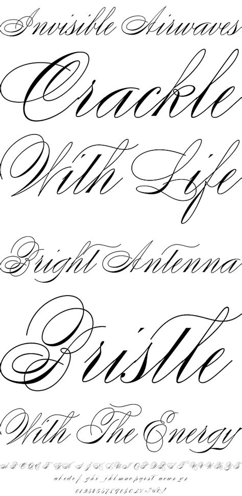 9 Best Fancy Typefaces Images On Pinterest Script Fonts Typography