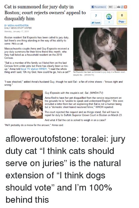 Cat Is Summoned For Jury Duty In Boston Court Reiects Owners Appeal To
