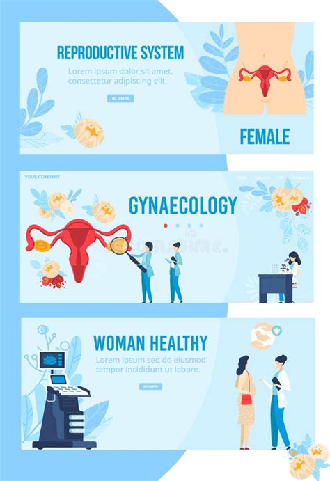 Woman Health Gynecology Vector Illustration Set Cartoon Flat Infographic Banner Collection Of