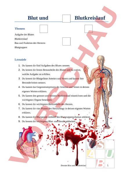 Arbeitsblatt Dossier Blut Und Blutkreislauf Biologie Anatomie