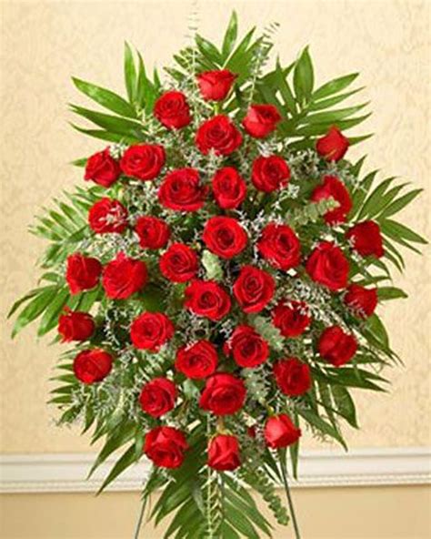 24 Red Rose Spray Florist Flowers Delivered Allens Flower Market