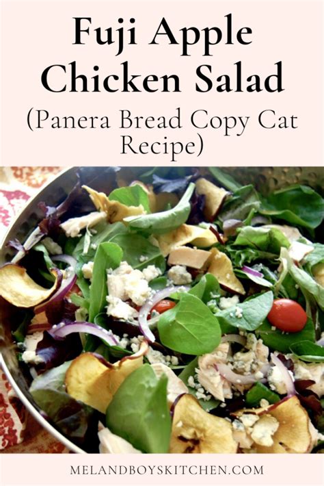 Once you've had panera's fuji apple salad, it will most definitely keep you coming back for more. Fuji Apple Chicken Salad (Panera Bread Copy Cat Recipe ...