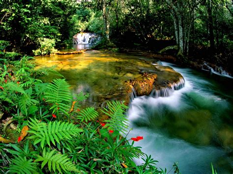 Tropical Rainforest Jungle Cascade Waterfall Transparent Water Rocks