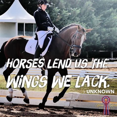Dressage is when you put a dress on your horse. Log In | Dressage, Horse quotes, Horses