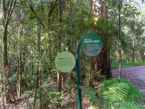 Maits Rest Rainforest Walk Otway Ranges Dsc00934 Peter Stokes Flickr