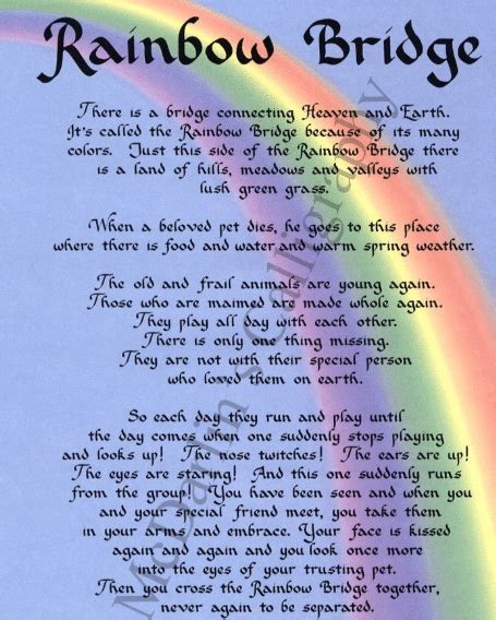 'rainbow bridge' is a lovely prose poem written for anyone who's suffered the loss of a beloved pet. The Rainbow Bridge Poem - PetRefine