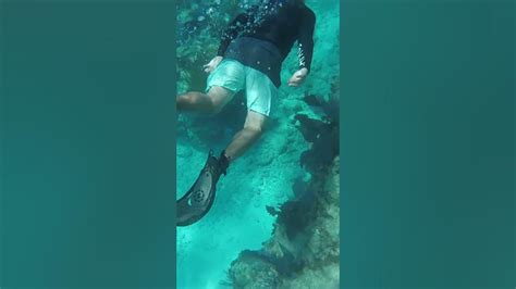 Snorkeling At Sombrero Reef Marathon Key Youtube