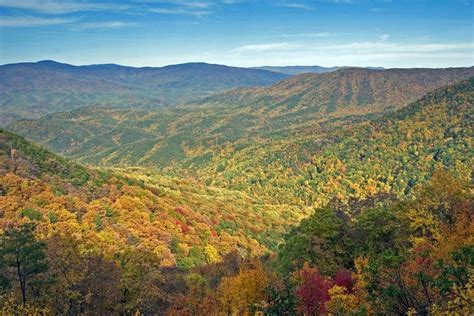 Georgia State Parks Leaf Watch Website Tracks Best Fall Color State