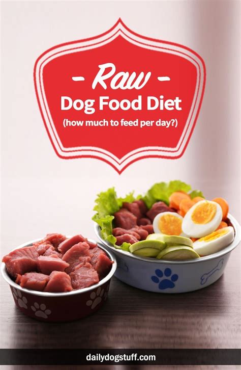 How much raw food do i feed my dog? Raw Dog Food Diet,.. How Much to Feed per Day? | Raw dog ...