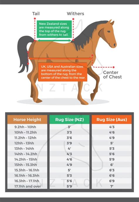 Horse Cover Sizing Chart How To Choose The Right Rug For Your Horse