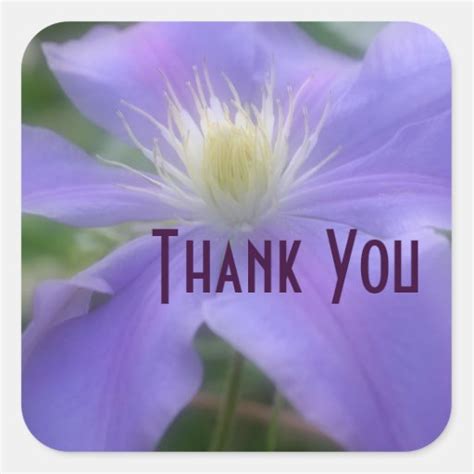 Purple Clematis Flower Thank You Sticker Zazzle