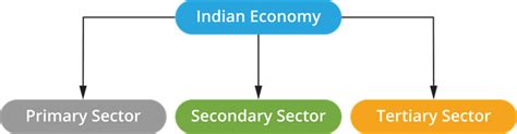 Sectors Of Indian Economy — Lesson Social Science Class 6