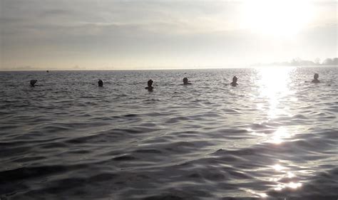 Bewoners uit de buurt wezen de gemeente op deze kans. #koudetraining #ijsdippers #reeuwijk | Water, Outdoor, Beach