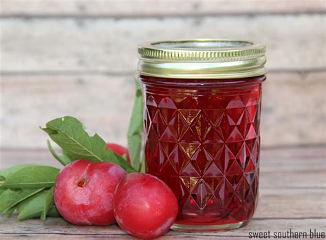 Plum Jelly Recipe (with pectin) - Sweet Southern Blue
