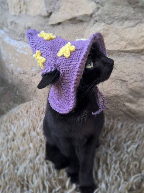 Purple Wizard Cat Hat Wizard Hat For Cat Wizard Hat For Cats Costume