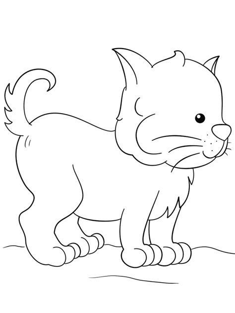 Lovely Kitten Coloring Page - Free Printable Coloring Pages for Kids