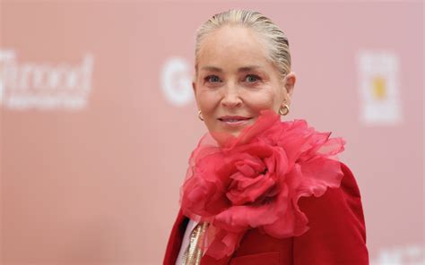Sharon Stone Shares Candid State Of Her Career Following Stroke